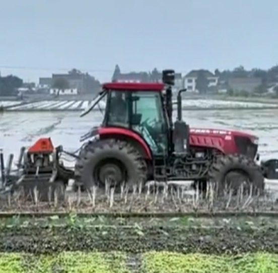 您負(fù)責(zé)統(tǒng)籌全局，它負(fù)責(zé)腳踏實(shí)地